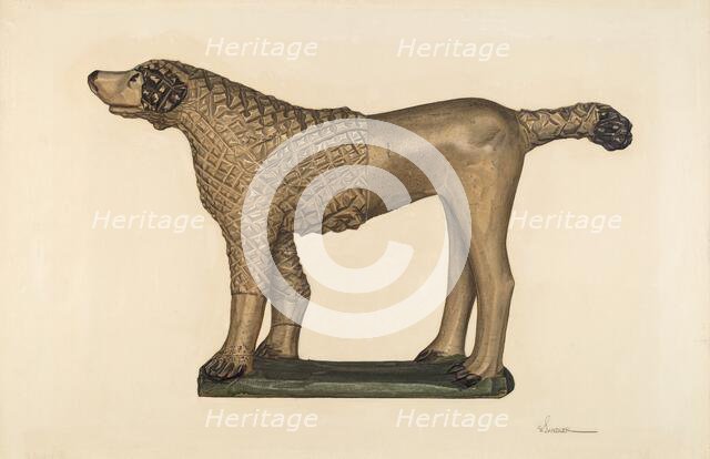 Poodle, c. 1940. Creator: Selma Sandler.