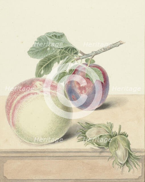 Peach, a plum with leaves and a few nuts, 1818-1853. Creator: Elisabeth Geertruida van de Kasteele.