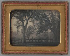 Untitled (Man Leaning Against a Fence in Front of a Cemetery), 1851. Creator: Unknown.