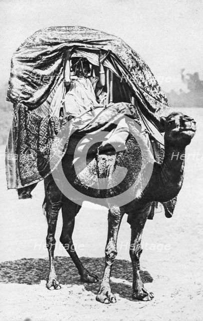 A girl on a camel litter, Algeria, 1922. Artist: Crete