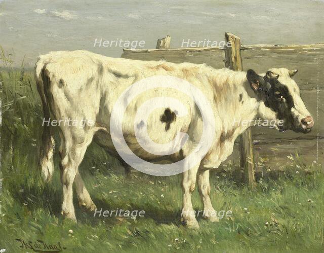 Young Bull, 1870-1892. Creator: Johannes Hubertus Leonardus de Haas.
