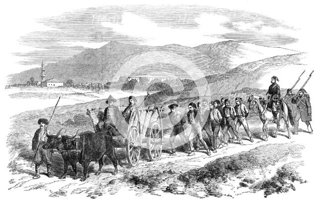 Circassian Prisoners brought into Schumla, 1854. Creator: Unknown.