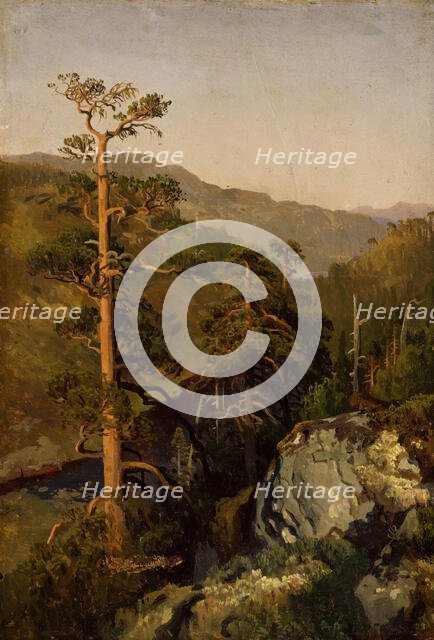 Rocky Landscape with Pinetreees, 1850. Creator: Herman August Cappelen.