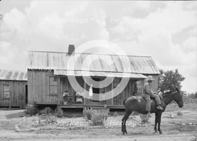 House of Negro tenant family, Pittsboro, North Carolina, 1939. Creator: Dorothea Lange.