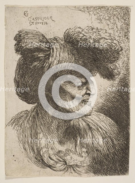 Bust of beardless old man in profile facing right, from the series of 'Small Head..., ca. 1645-1650. Creator: Giovanni Benedetto Castiglione.