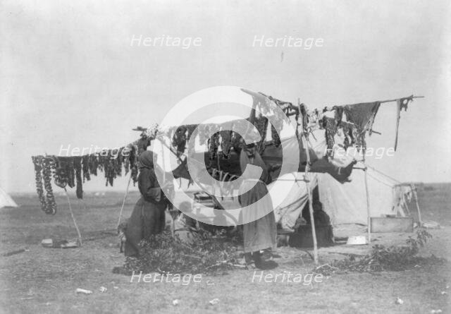 Drying meat, c1908. Creator: Edward Sheriff Curtis.