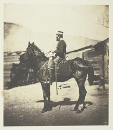 Quartermaster Hill, 4th Lt. Dragoons. The Horse taken immediately after the winter season., 1855. Creator: Roger Fenton.