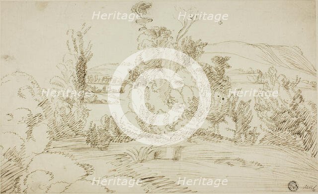 Grove of Trees with Hills in Distance, n.d. Creator: Unknown.