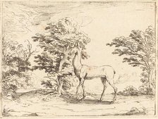 The Doe. Creator: Jacques Callot.