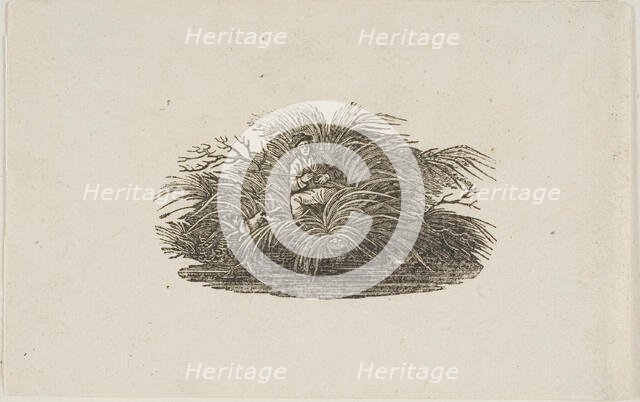 Tailpiece: Man in Bush, n.d. Creator: Thomas Bewick.
