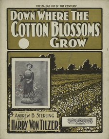 'Down where the cotton blossoms grow', 1901. Creator: Unknown.