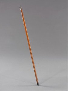 Cane, American, ca. 1883. Creator: Unknown.