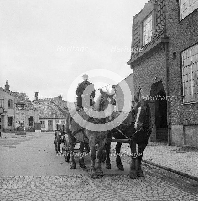 Olof Friberg, the last driver at Landskrona, with his two horses The Girl and Lottie, Sweden, 1950. Artist: Unknown