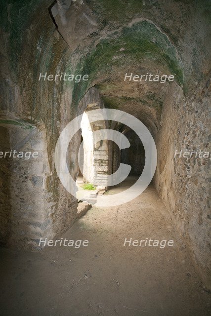 The House of the Fishing Scene at Bulla Regia, Tunisia. Artist: Samuel Magal