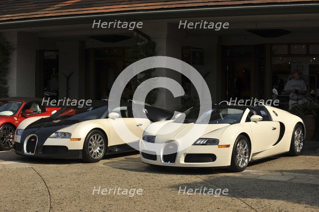 Group of Bugatti Veyron cars