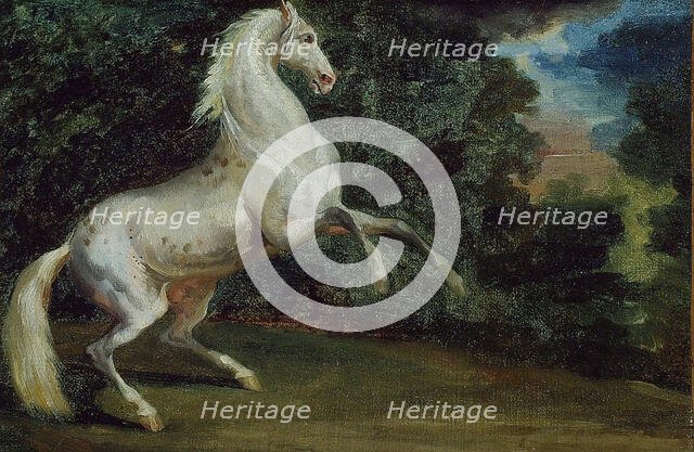 Prancing Horse, 1808/12. Creator: Unknown.