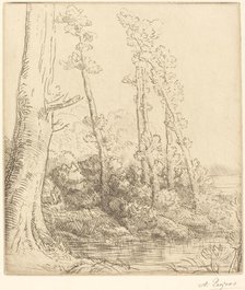 Little Pond (La petite mare). Creator: Alphonse Legros.