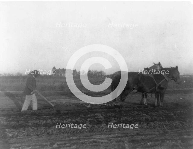 Improved method of plowing, (1899?). Creator: Frances Benjamin Johnston.