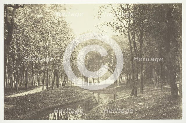Untitled, c. 1850. [Trees near water in the Bois de Boulogne, a park in Paris].  Creator: Charles Marville.