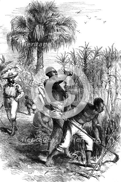 Slaves working on a plantation, USA, late 18th century (c1880). Artist: Unknown