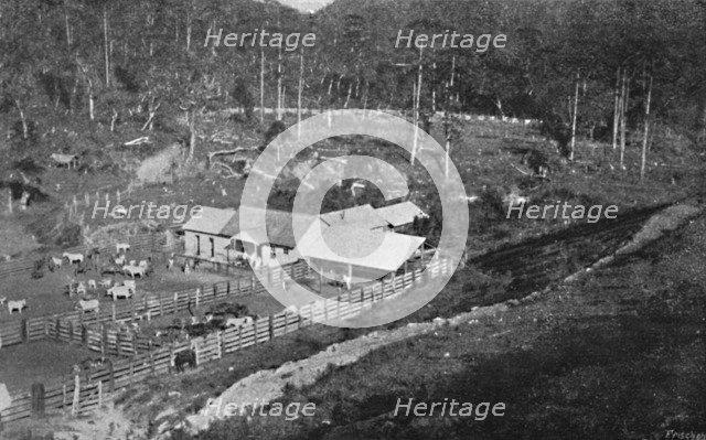 'Fazenda de Criacao (Campos do Jordao)', (Criacao Farm), 1895. Artist: Axel Frick.