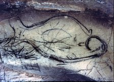 Zoomorphic cave painting from the Upper Paleolithic on the rock of La Pileta cave (Benaoján, Mála…