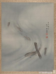 Fishes Swimming, Summer, 1891. Creator: Seki Shuko.