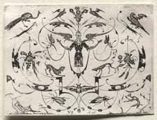 Arabesque with Peacock, Parakeet, Dogs and Insects, 1626. Creator: Valentin Sezenius (German).