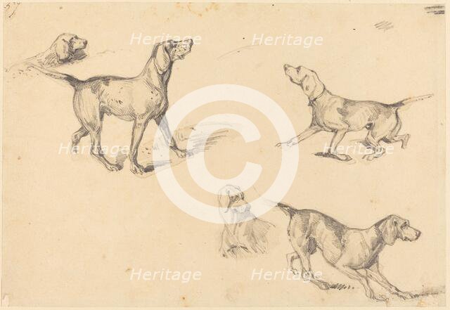 Five Studies of a French Pointer, 1825/1826. Creator: Richard Parkes Bonington.