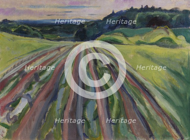 Ploughed field, 1916.