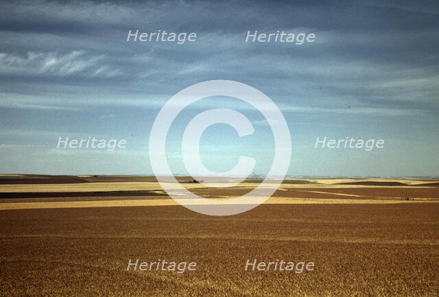 Wheat farm, Walla Walla, Washington, 1941. Creator: Russell Lee.
