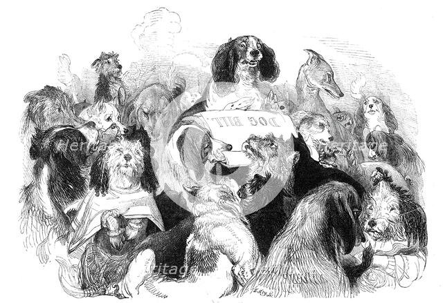 The Dog Bill Committee, drawn by T. Landseer, 1844. Creator: Thomas Landseer.