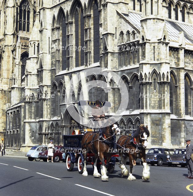 Tetley shire horses outside York Minster, North Yorkshire, 1969. Artist: Michael Walters