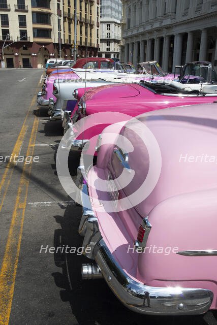 Selection of beautifully restored old American cars alongside the Parque Central, Havana, Cuba, 2024 Creator: Ethel Davies.