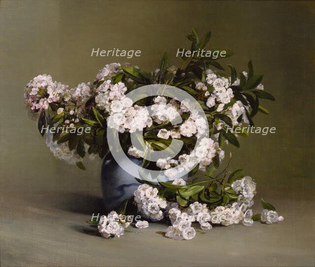 Mountain Laurel, 1888. Creator: Charles Ethan Porter.