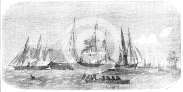 Her Majesty's Despatch Gun-Boats, 1854. Creator: Smyth.