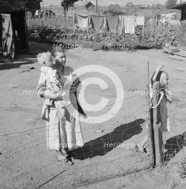 Family living in shacktown community, mostly from Kansas and..., Washington, Yakima Valley, 1939. Creator: Dorothea Lange.