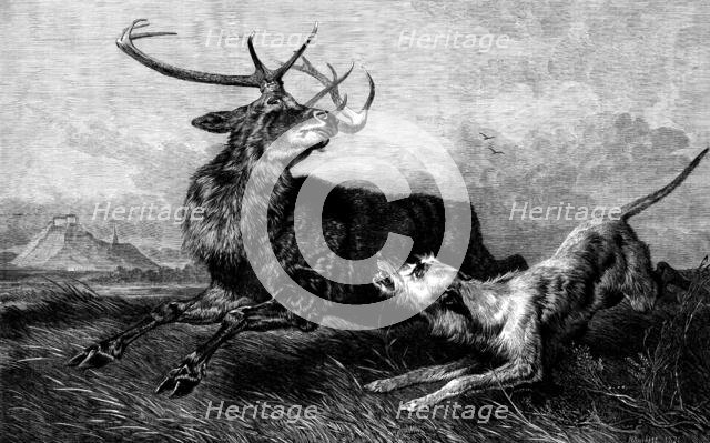 "Hard Pressed", diploma picture by R. Ansdell, R.A., 1873. Creator: Richard Ansdell.