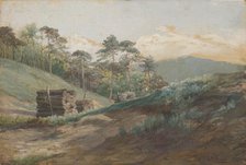 A forest valley with pine trees, around 1894-1895. Creator: Ludovit Cordak.