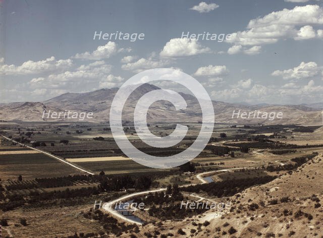 Cherry orchards, farm lands and irrigation ditch at Emmett, Idaho, 1941. Creator: Russell Lee.