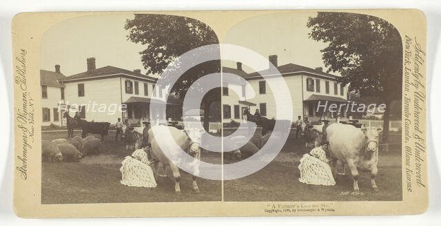 A Farmer's Life for Me, 1894. Creator: Underwood & Underwood.