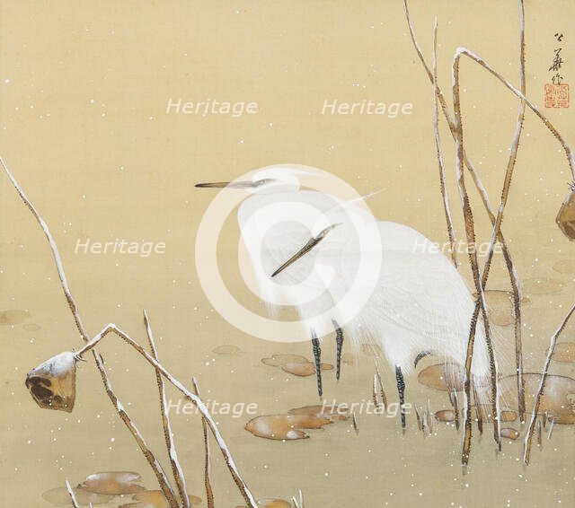 Two cranes in the snow. Creator: Koka, Maeda (1847-1916).