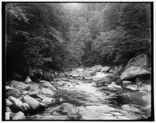 Outlet of Clarendon Gorge, Green Mountains, between 1900 and 1906. Creator: Unknown.