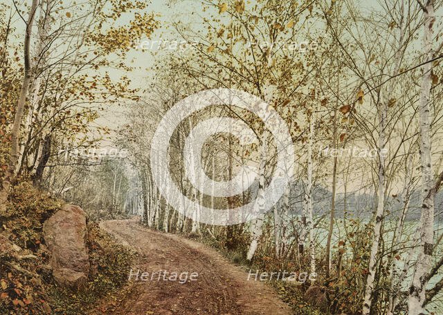 A Northern autumn, c1898. Creator: Unknown.