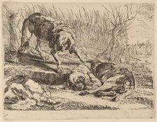 Two Beagles, One Sleeping, probably c. 1640/1642. Creator: Jan Fyt.