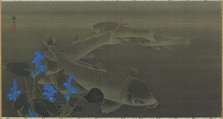 Carp, Edo period, early 19th century. Creator: Kuroda Toko.