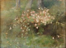 Twinflowers, 1886. Creator: Schjerfbeck, Helene (1862-1946).