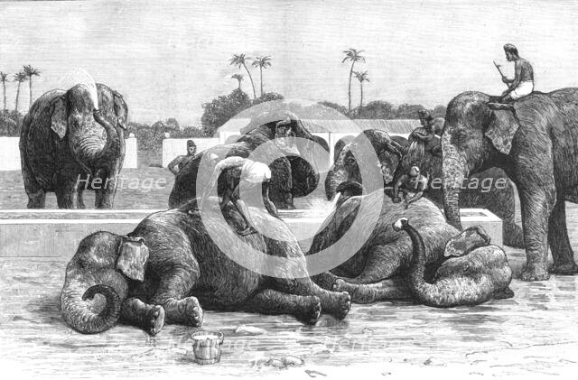 ''An Elephant Battery in India; The Morning Bath before Breakfast', 1890. Creator: Unknown.