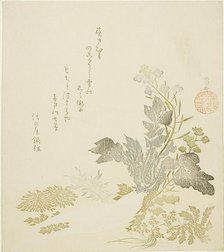 A Giant Radish (daikon), Chrysanthemums and Ferns, About 1820. Creator: Shinsai.