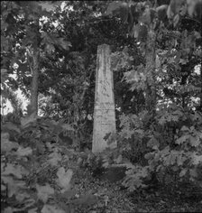 Family burial ground on the abandoned Pharr Plantation near Social Circle, Georgia, 1937. Creator: Dorothea Lange.
